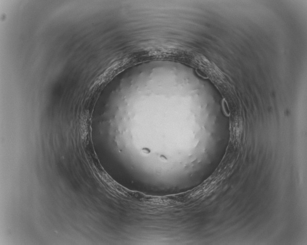 X0000085251012200703231644