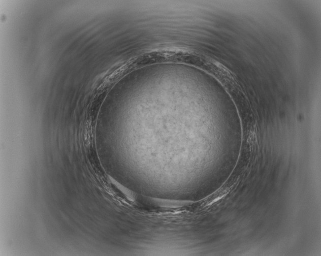 X0000085251014200703231644