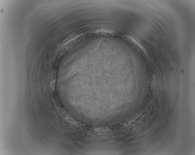 X0000085251015200703231644