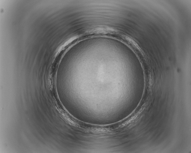 X0000085251018200703231644