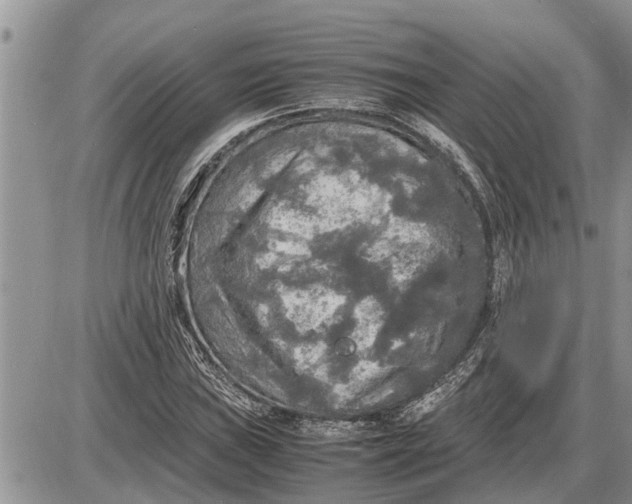 X0000085251019200703231644