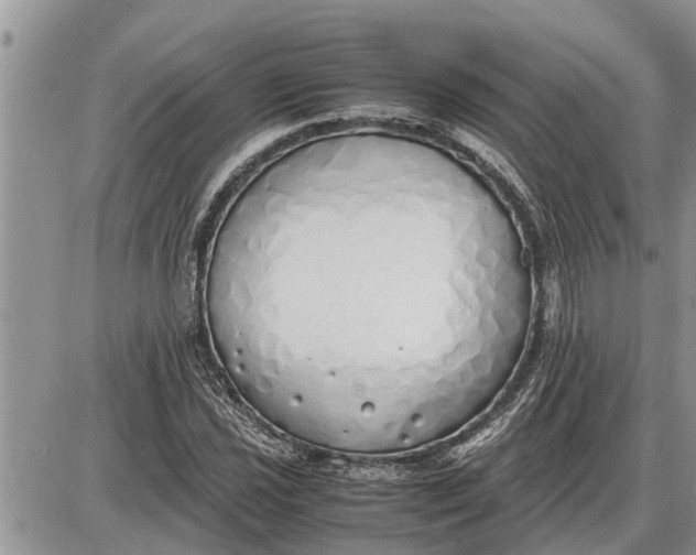 X0000085251021200703231644