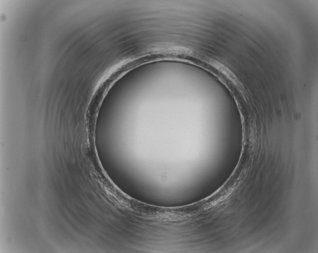 X0000085251022200703231644