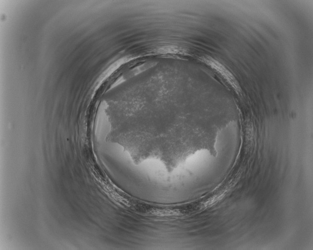 X0000085251023200703231644