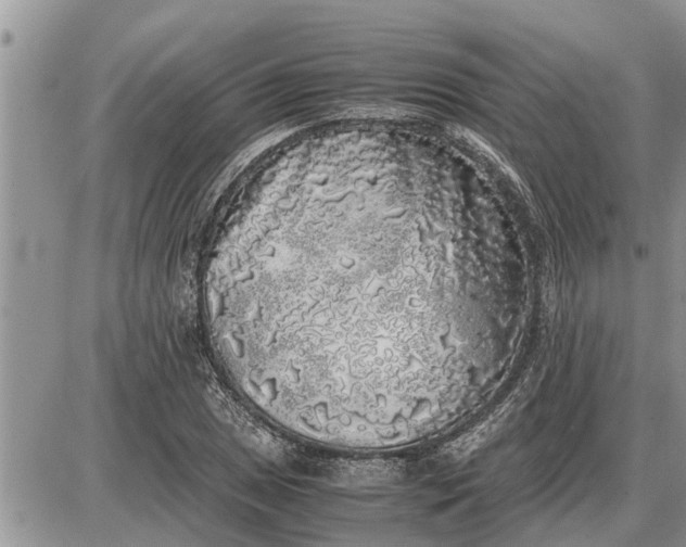 X0000085251025200703231644