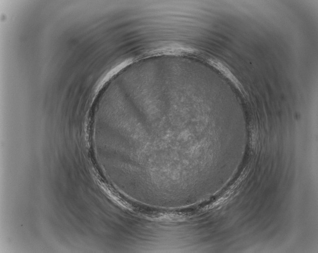 X0000085251026200703231644