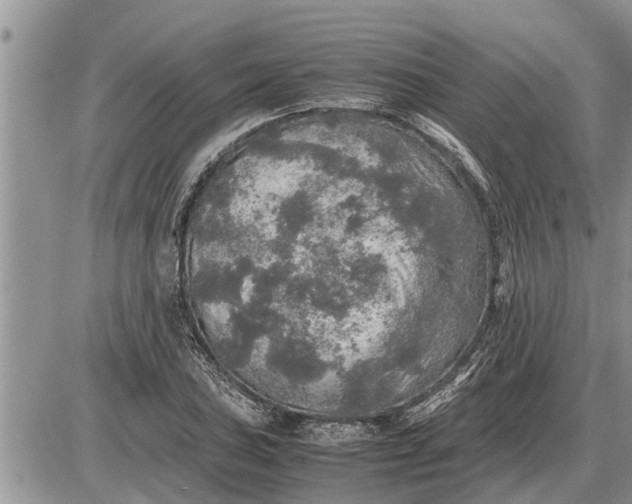 X0000085251027200703231644