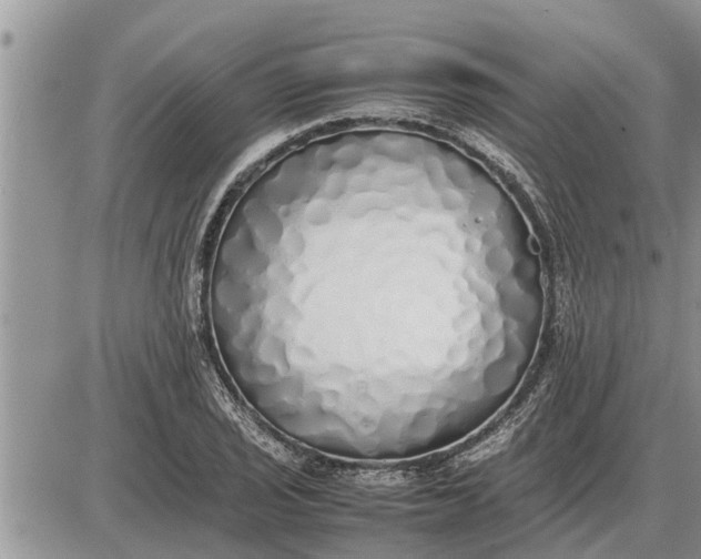 X0000085251029200703231644