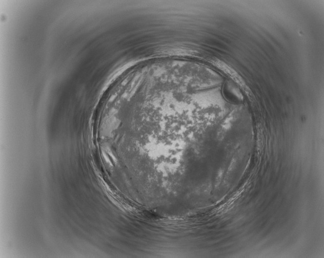 X0000085251031200703231644