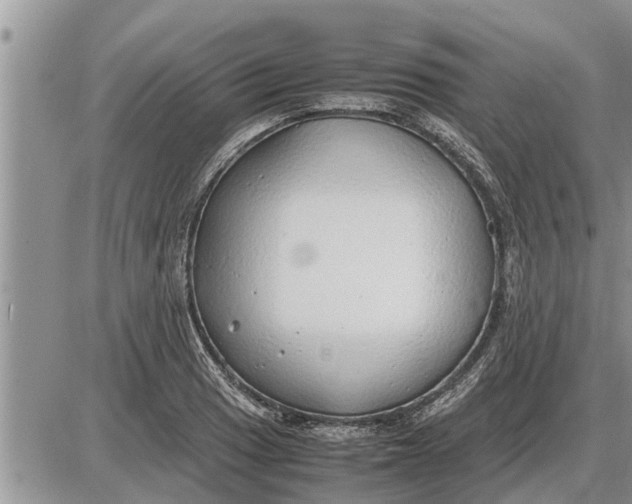 X0000085251033200703231644