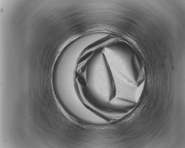 X0000085251034200703231644