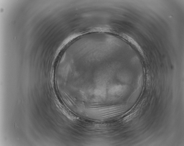 X0000085251035200703231644