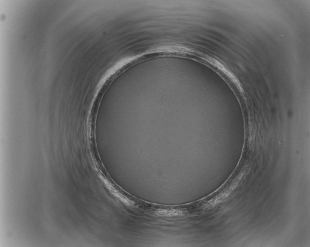 X0000085251037200703231644