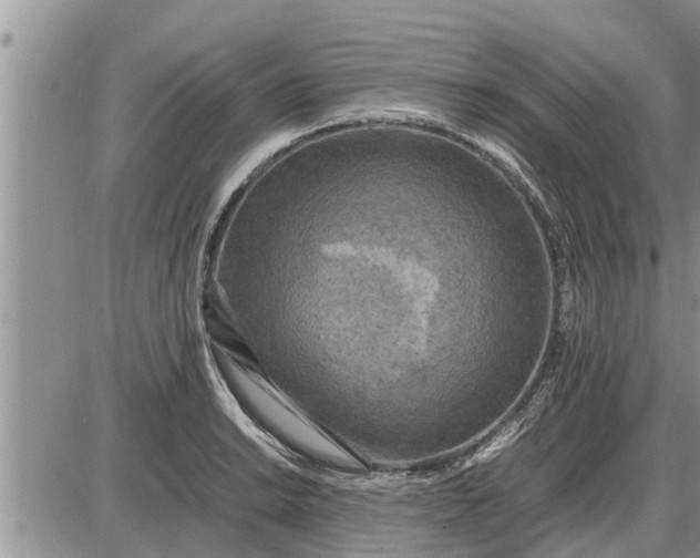 X0000085251038200703231644