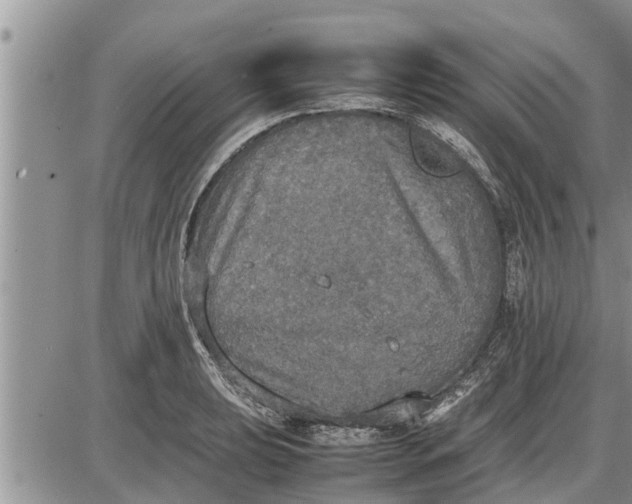 X0000085251039200703231644