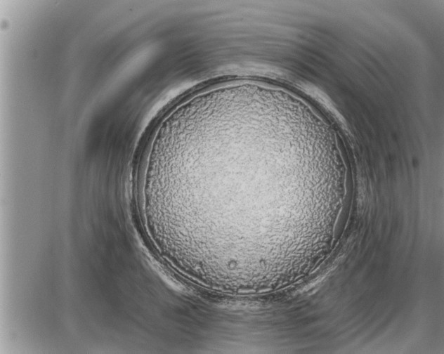 X0000085251040200703231645