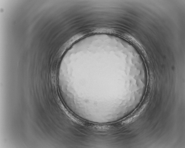 X0000085251041200703231645