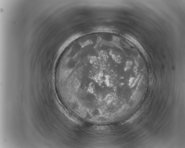 X0000085251043200703231645