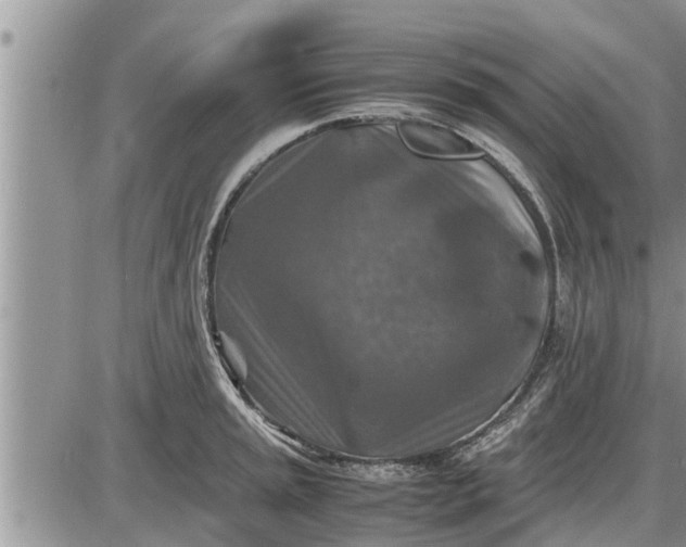 X0000085251045200703231645