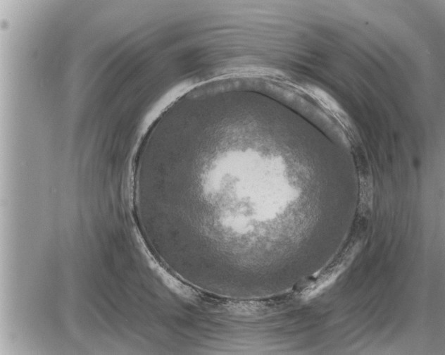 X0000085251046200703231645