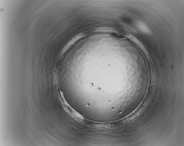 X0000085251049200703231645