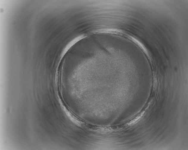 X0000085251050200703231645