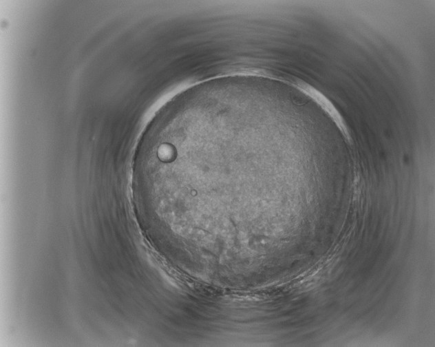 X0000085251051200703231645