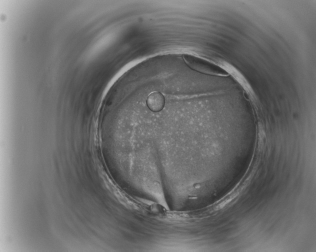 X0000085251052200703231645