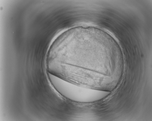 X0000085251056200703231645