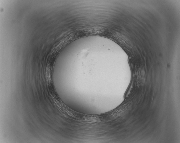 X0000085251058200703231644