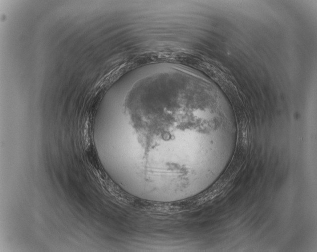 X0000085251060200703231644