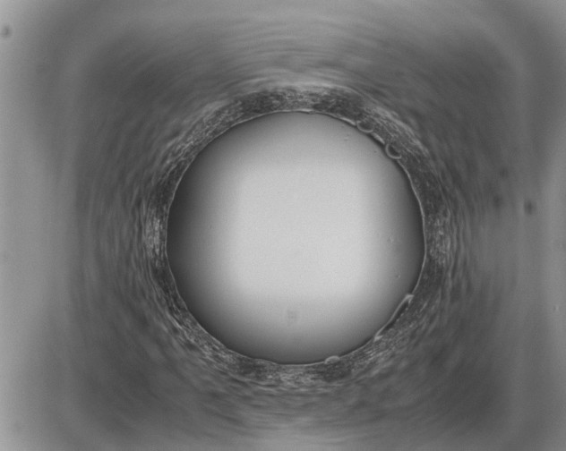 X0000085251061200703231644