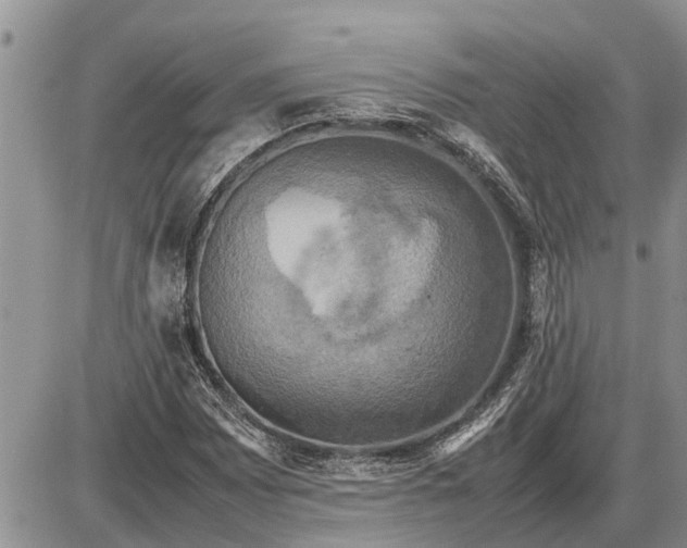 X0000085251065200703231644