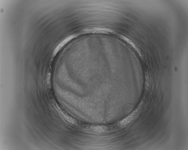 X0000085251066200703231644