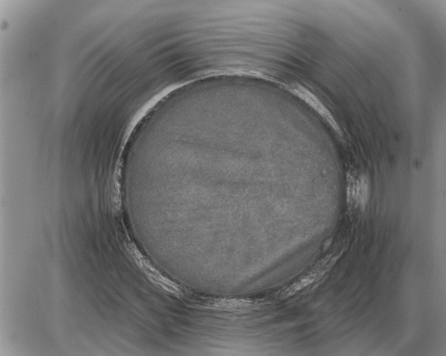 X0000085251068200703231644