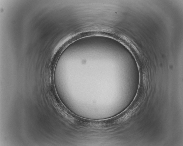 X0000085251069200703231644