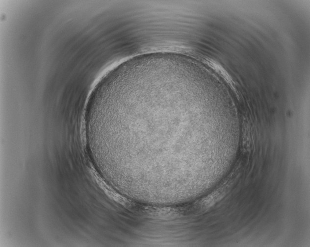 X0000085251072200703231644