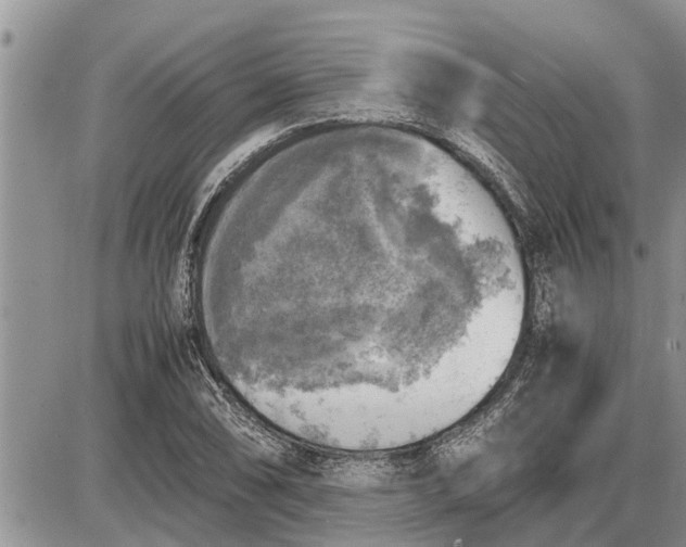 X0000085251074200703231644