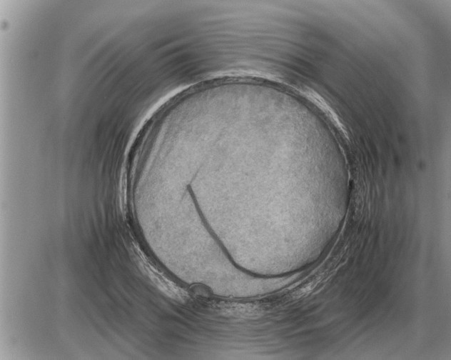 X0000085251076200703231644