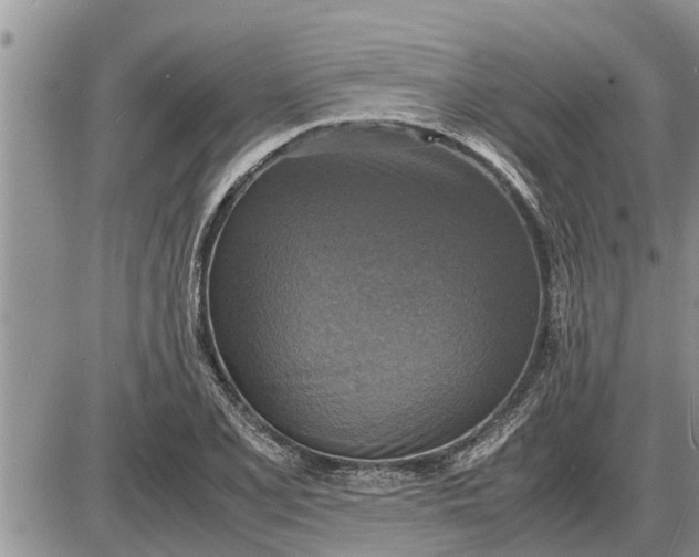 X0000085251077200703231644