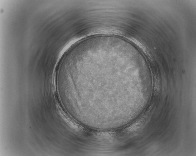 X0000085251078200703231644