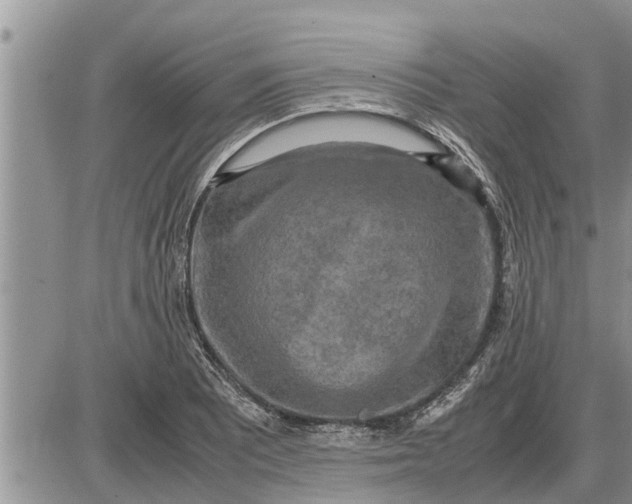 X0000085251081200703231644