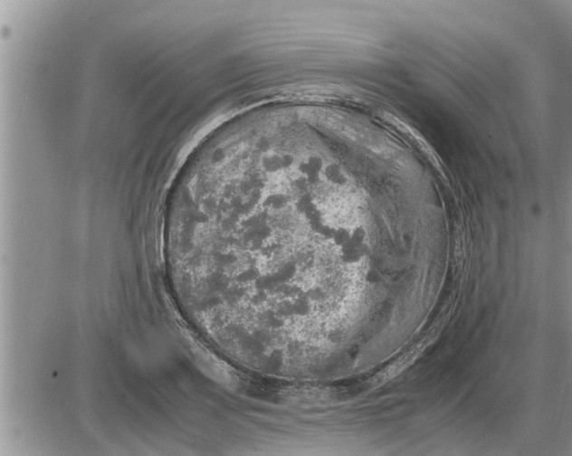 X0000085251083200703231644