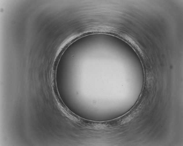 X0000085251085200703231644