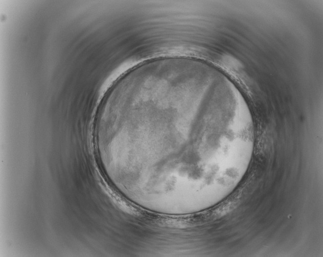 X0000085251086200703231643