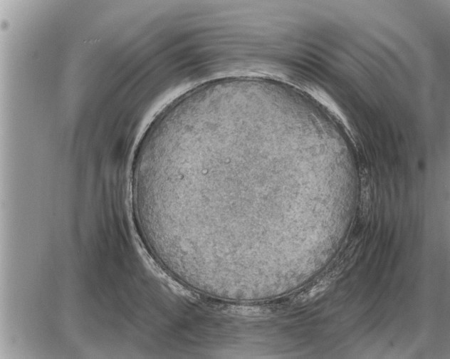 X0000085251088200703231643