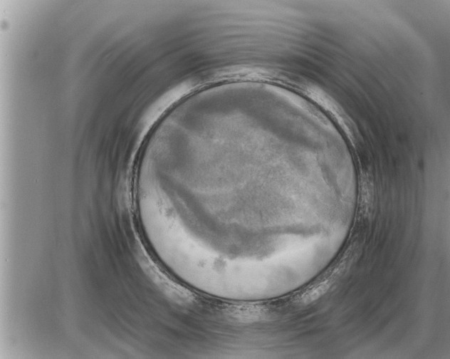 X0000085251090200703231643