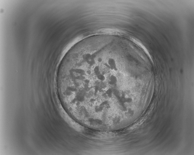 X0000085251091200703231643