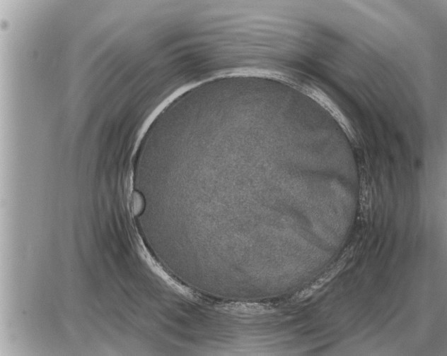 X0000085251092200703231643