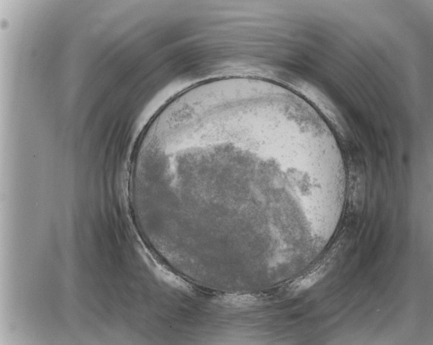 X0000085251094200703231643